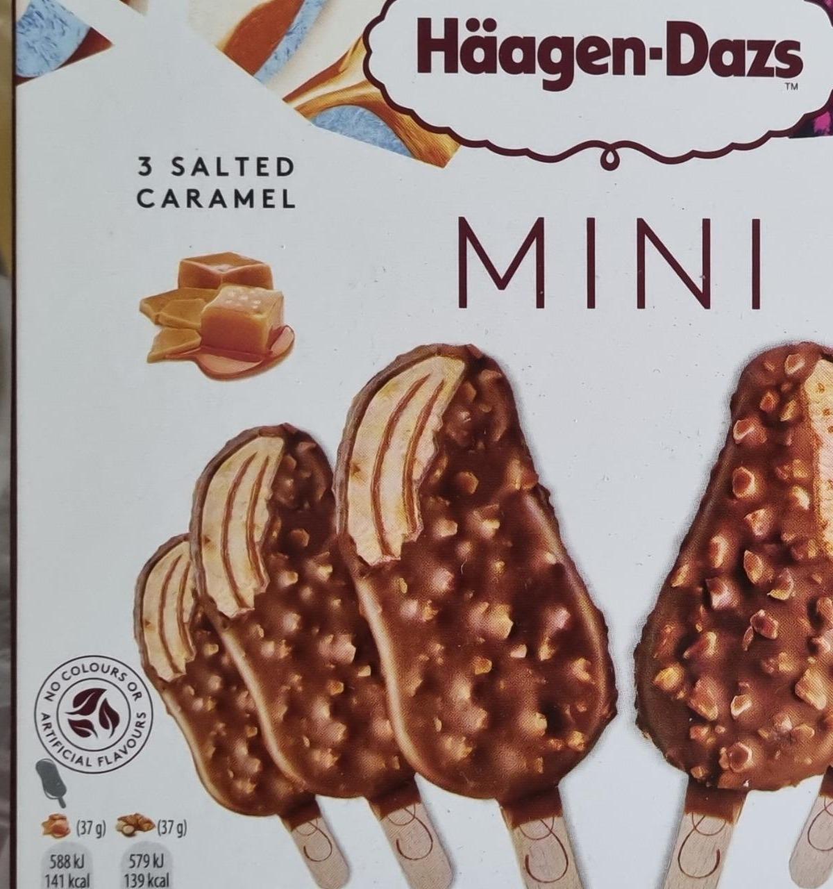 Fotografie - Mini Salted Caramel Häagen-Dazs