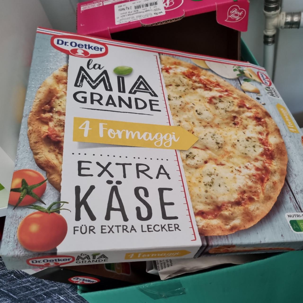 Fotografie - la mia Grande 4 formaggi Dr.Oetker