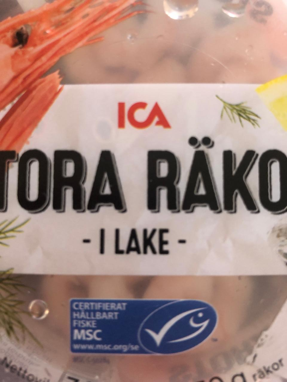 Fotografie - Stora Räkor i Lake ICA