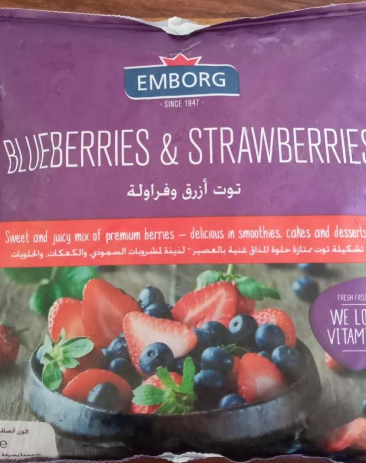 Fotografie - Blueberries & Strawberries Emborg