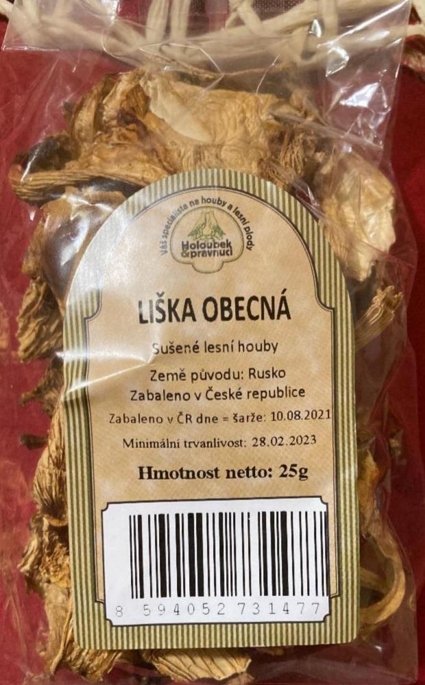 Fotografie - Liška obecná Holoubek a pravnuci