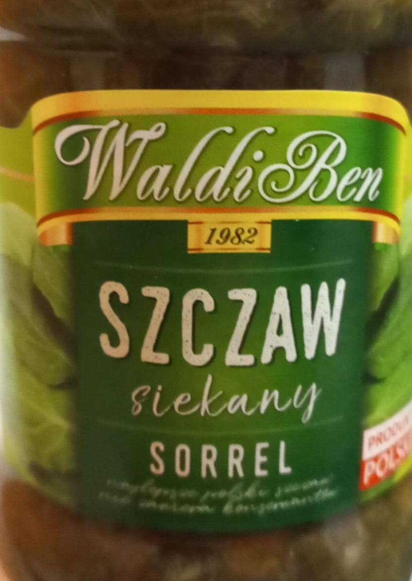 Fotografie - Szczaw siekany sorrel WaldiBen