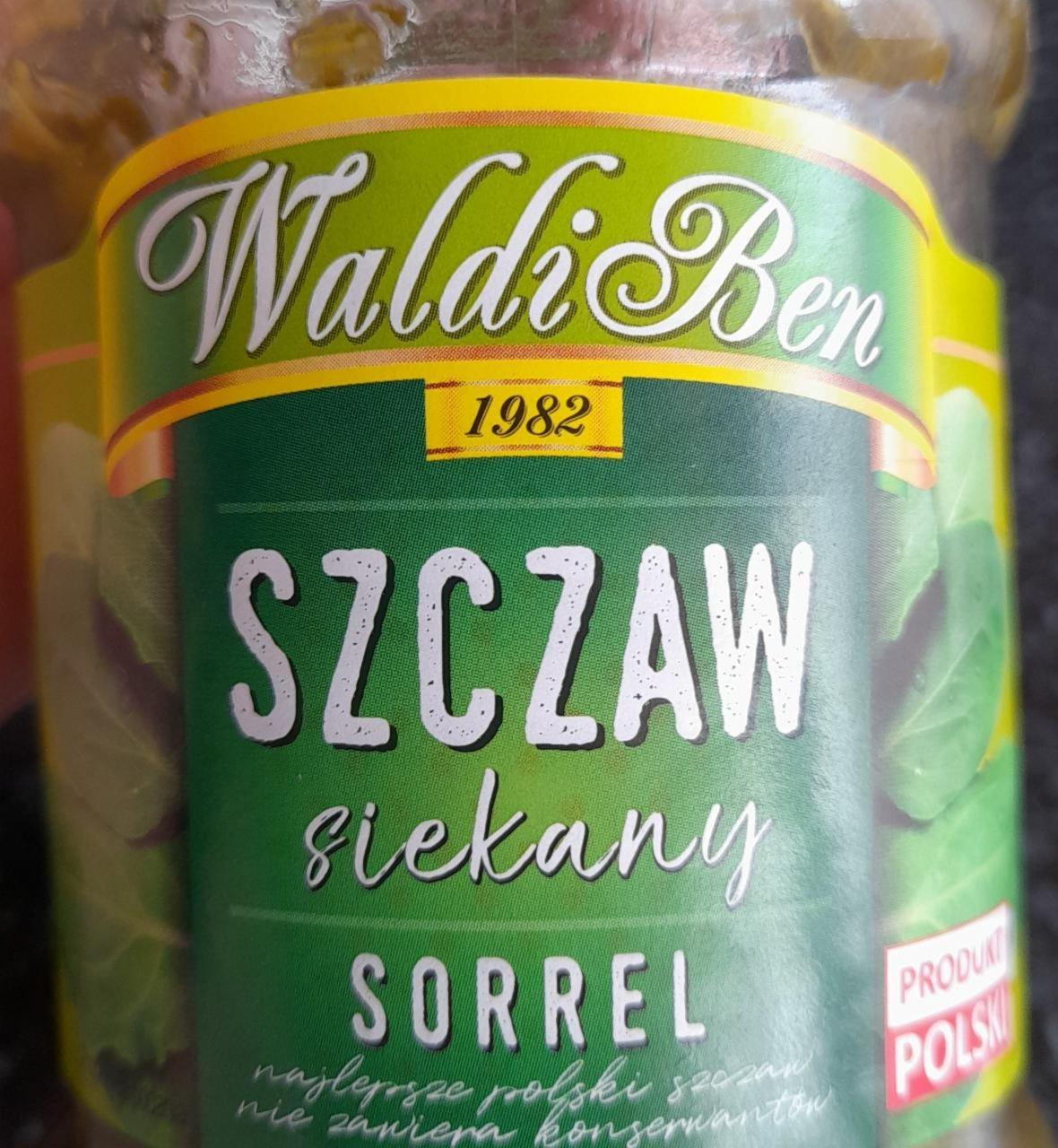 Fotografie - Szczaw siekany sorrel WaldiBen