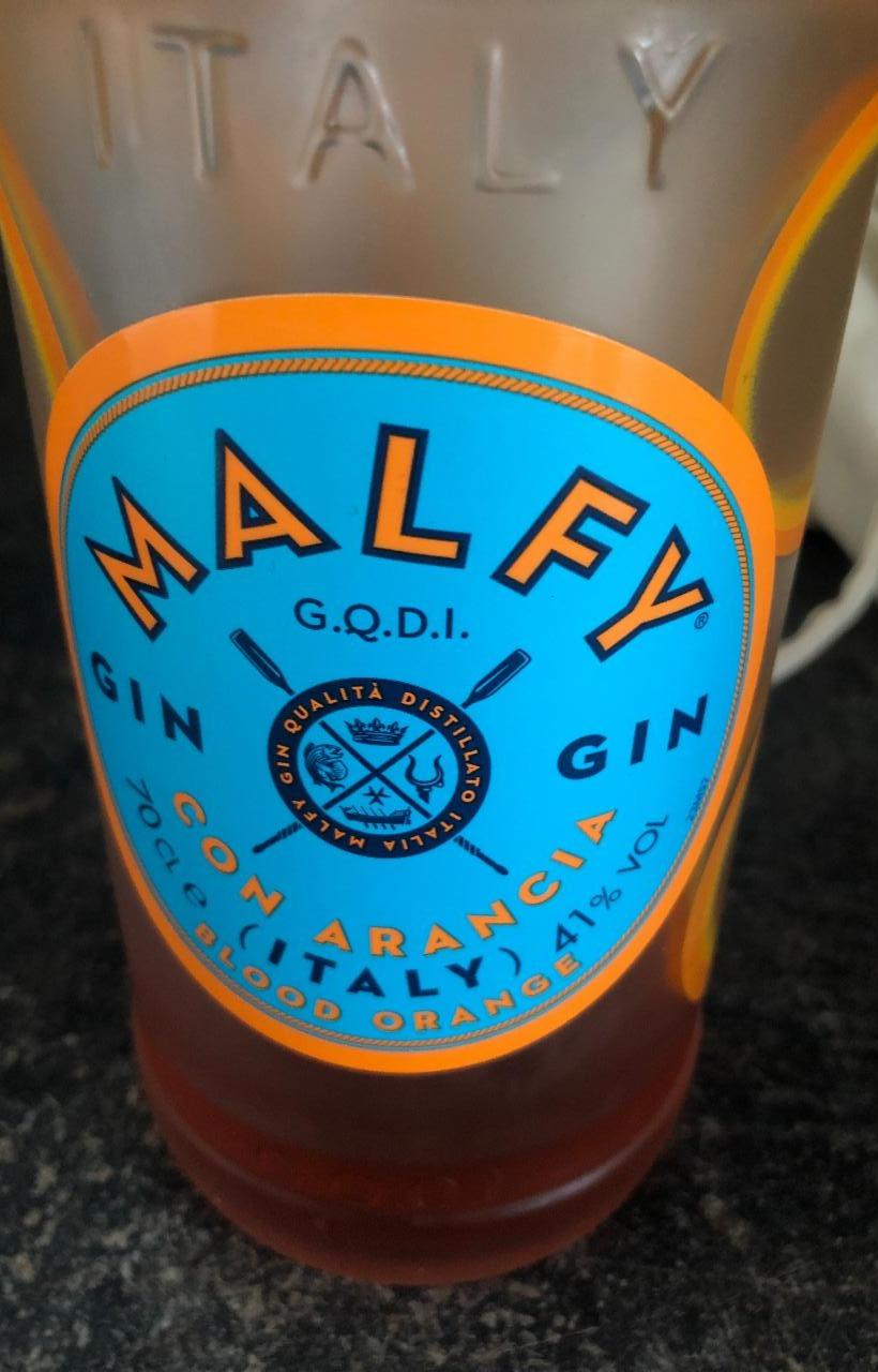 Fotografie - Gin Malfy con Arancia 41%