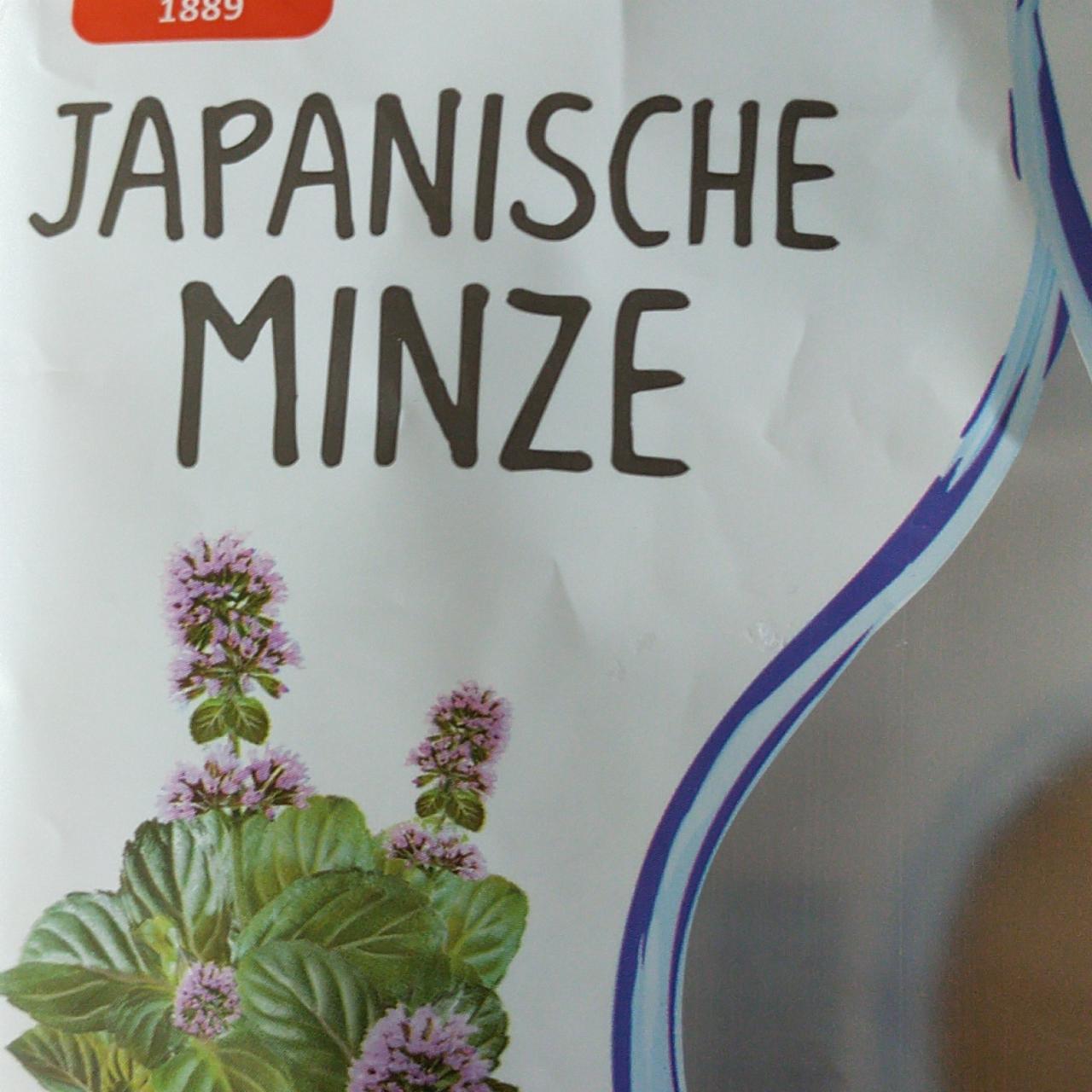 Fotografie - Japanische minze Kaiser