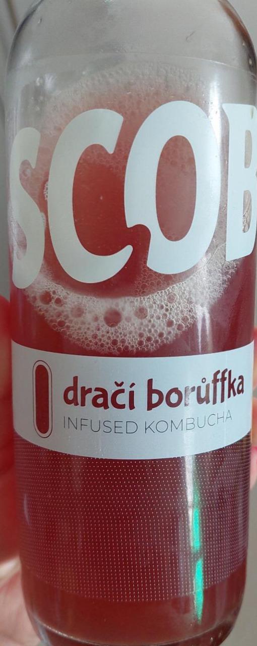 Fotografie - Dračí borůffka kombucha Scoby