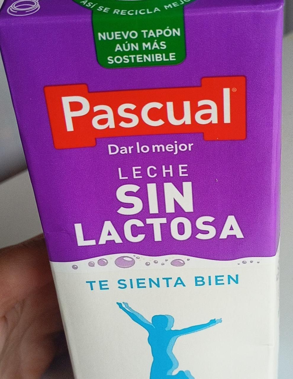 Fotografie - Leche sin Lactosa Pascual