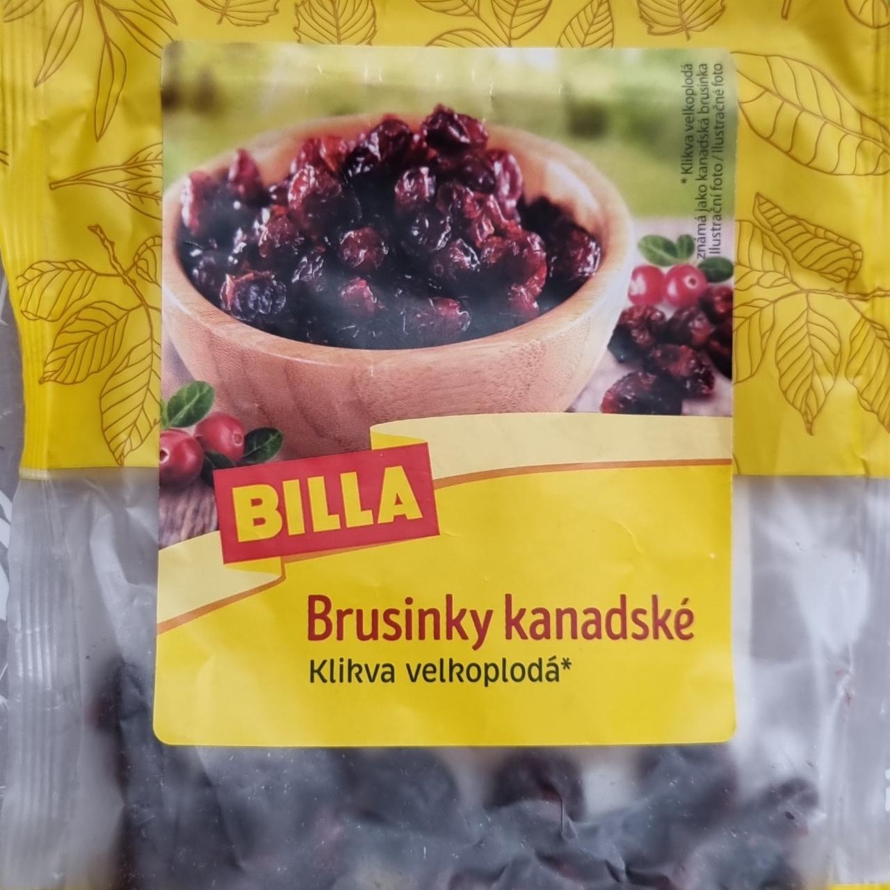 Fotografie - Brusinky kanadské Billa