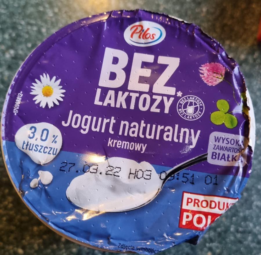 Fotografie - Jogurt naturalny kremowy bez laktozy Pilos