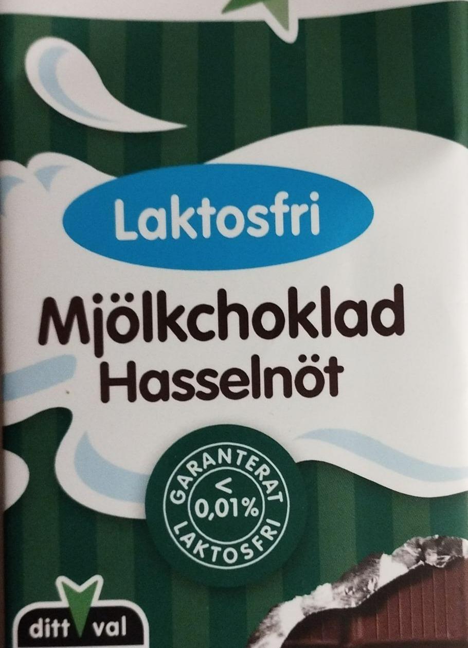 Fotografie - Mjölkchoklad Hasselnöt Laktosfri Green star