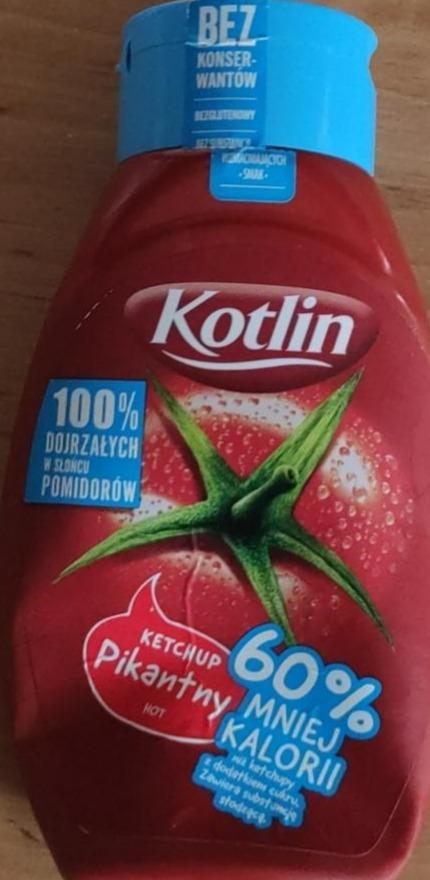 Fotografie - Ketchup pikantny Kotlin