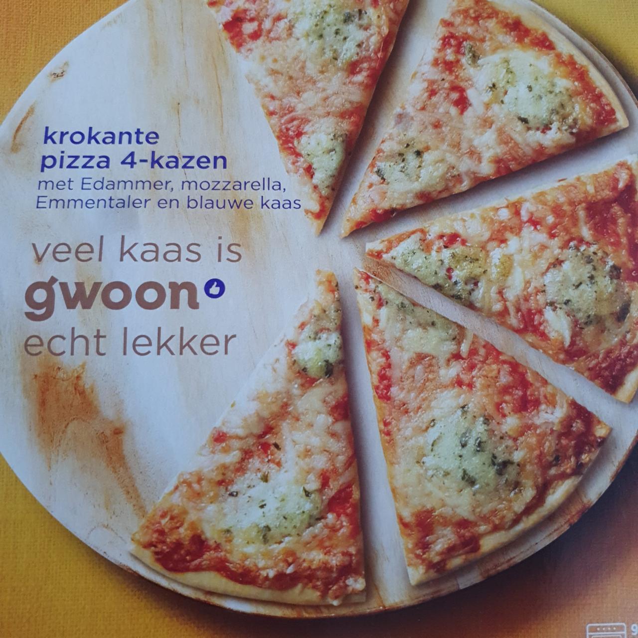 Fotografie - kaas pizza Gwoon