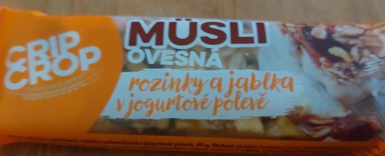 Fotografie - Müsli ovesná tyčinka rozinky a jablka v jogurtové polevě Crip Crop