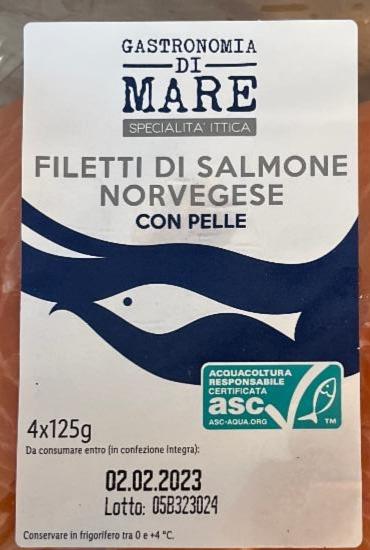 Fotografie - Filetti di salmone norvegese con pelle Gastronomia di mare