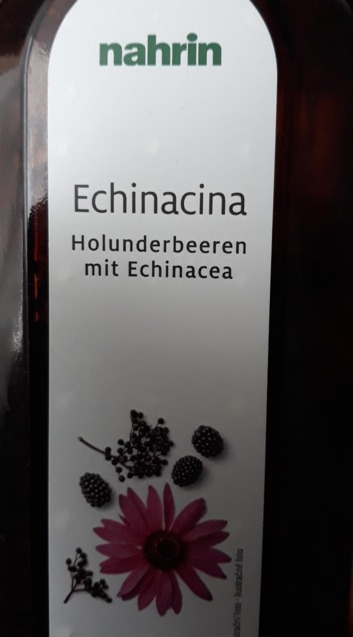 Fotografie - Echinacina Nahrin