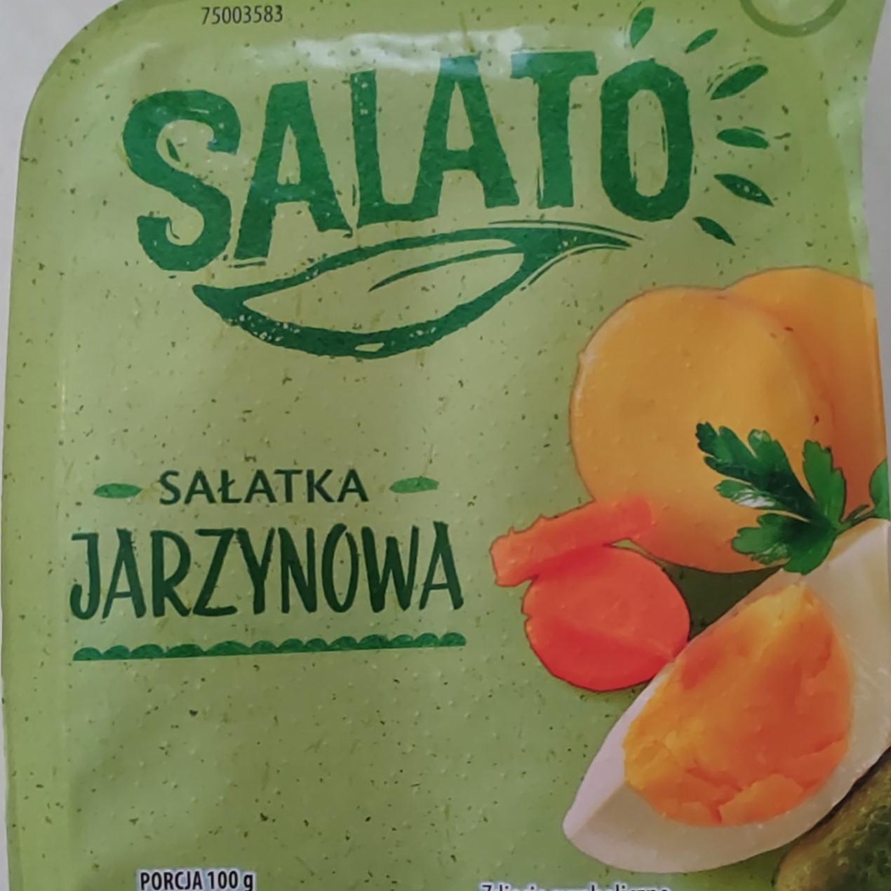 Fotografie - Salatka Jarzynowa Salato