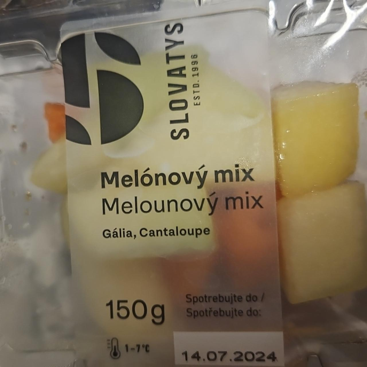 Fotografie - Melounový mix gália, cantaloupe Slovatys