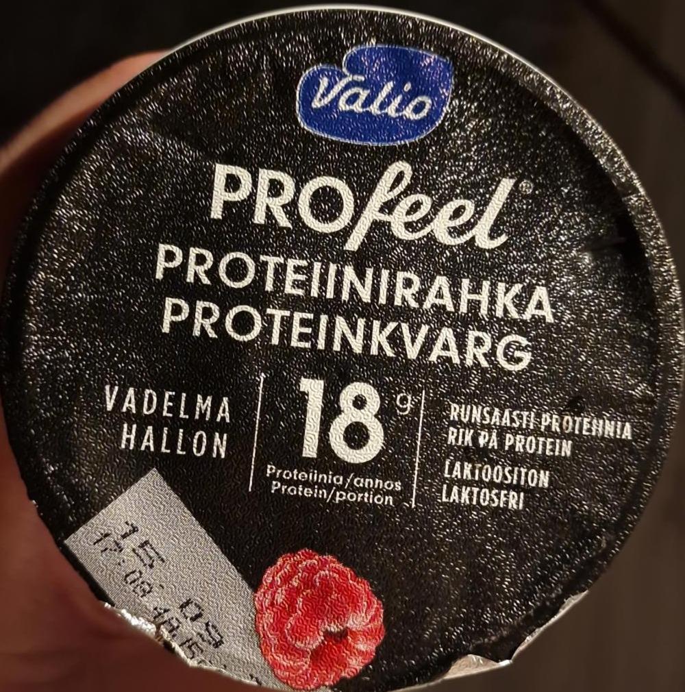 Fotografie - PROfeel proteiinirahka vadelma laktoositon Valio