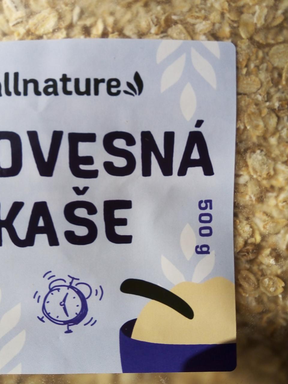 Fotografie - ovesná kaše alnature