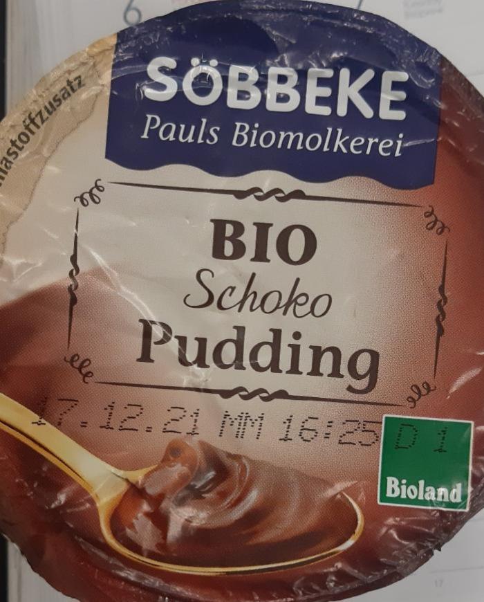 Fotografie - Bio Schoko Pudding Söbbeke