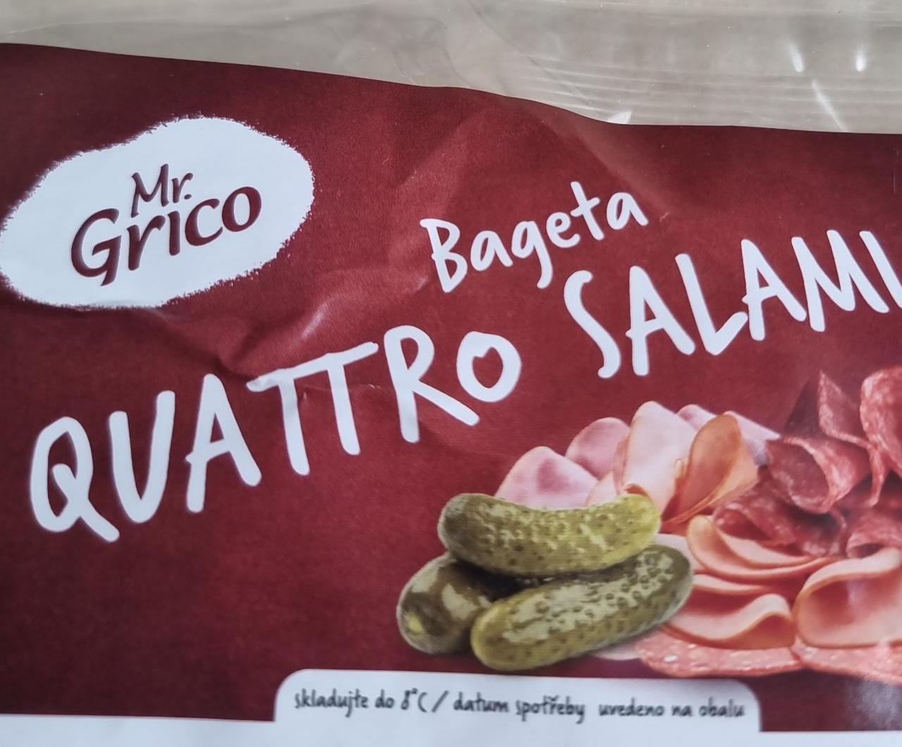 Fotografie - Bageta Quattro salami Mr.Grico