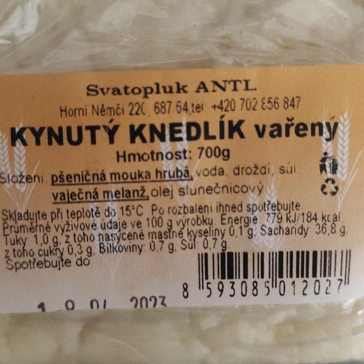 Fotografie - Kynuty knedlík vařený Svatopluk ANTL