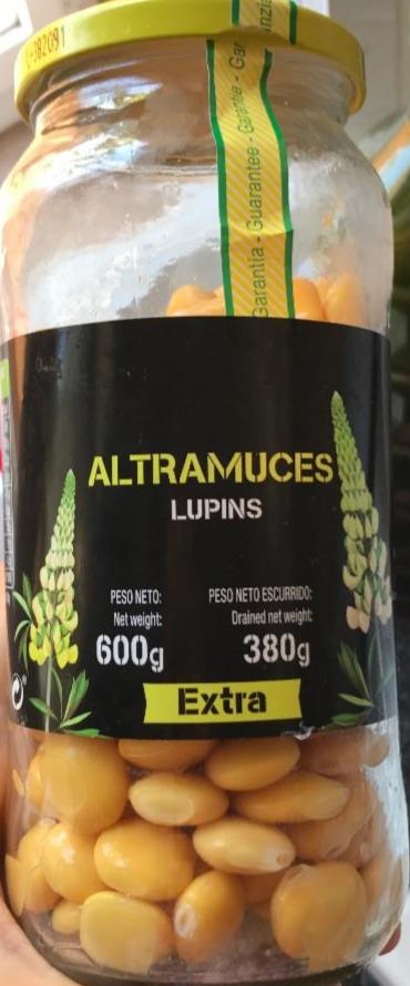 Fotografie - Altramuces Lupins