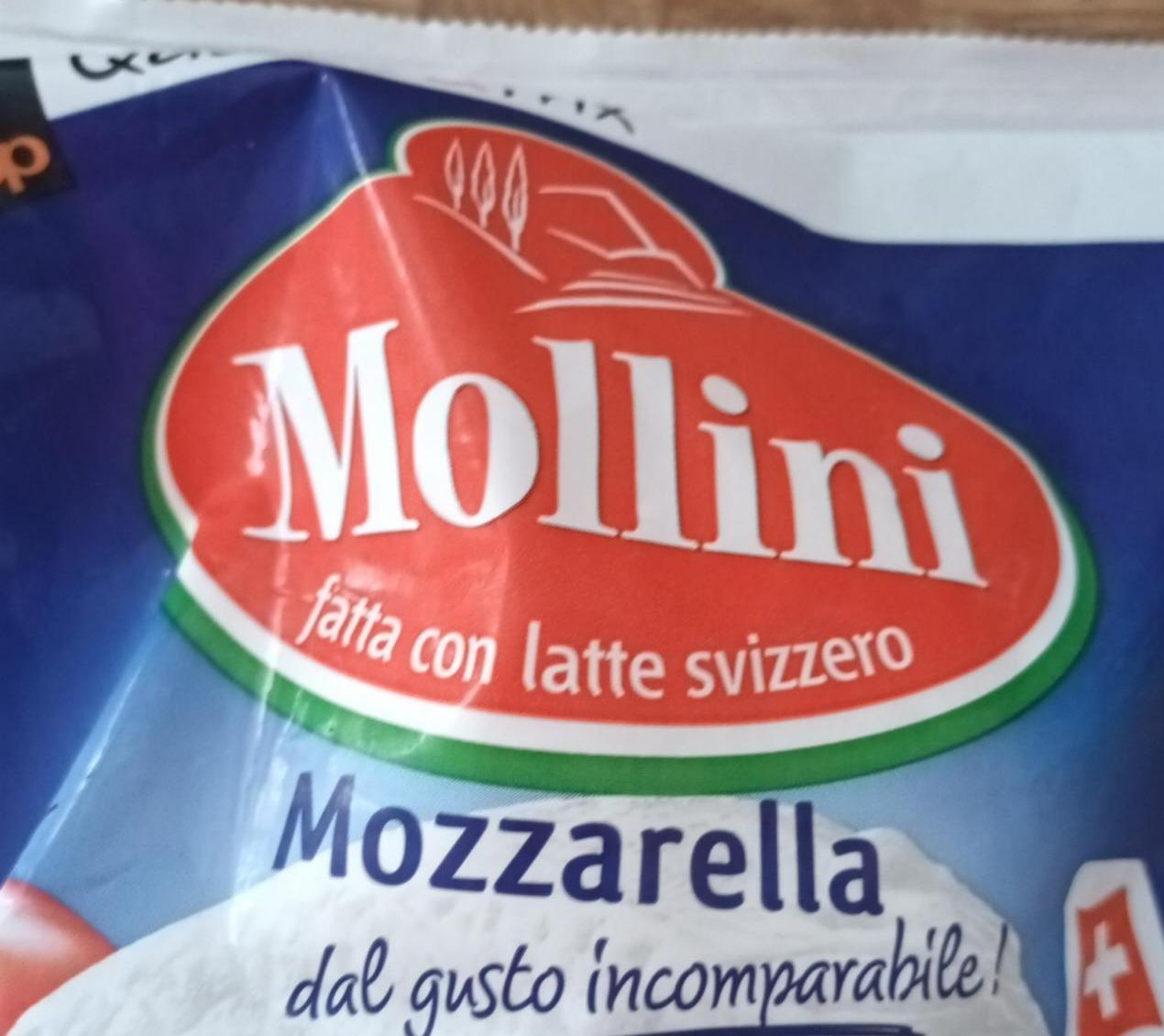 Fotografie - Mozzarella Mollini