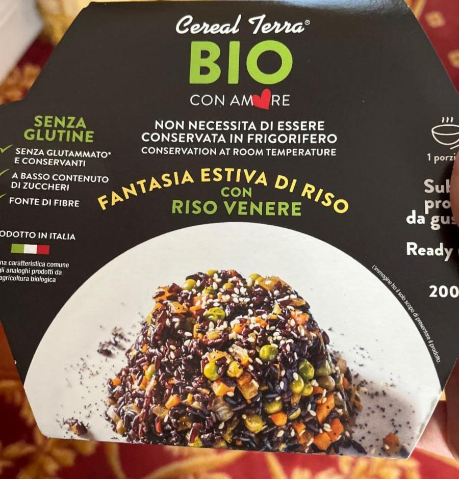 Fotografie - cereal terra bio estiva di riso Fantasia