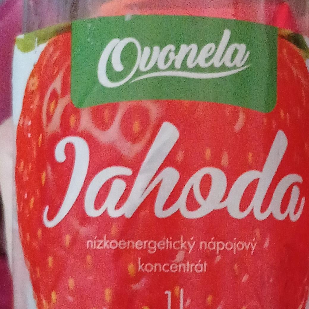 Fotografie - Jahoda Ovonela