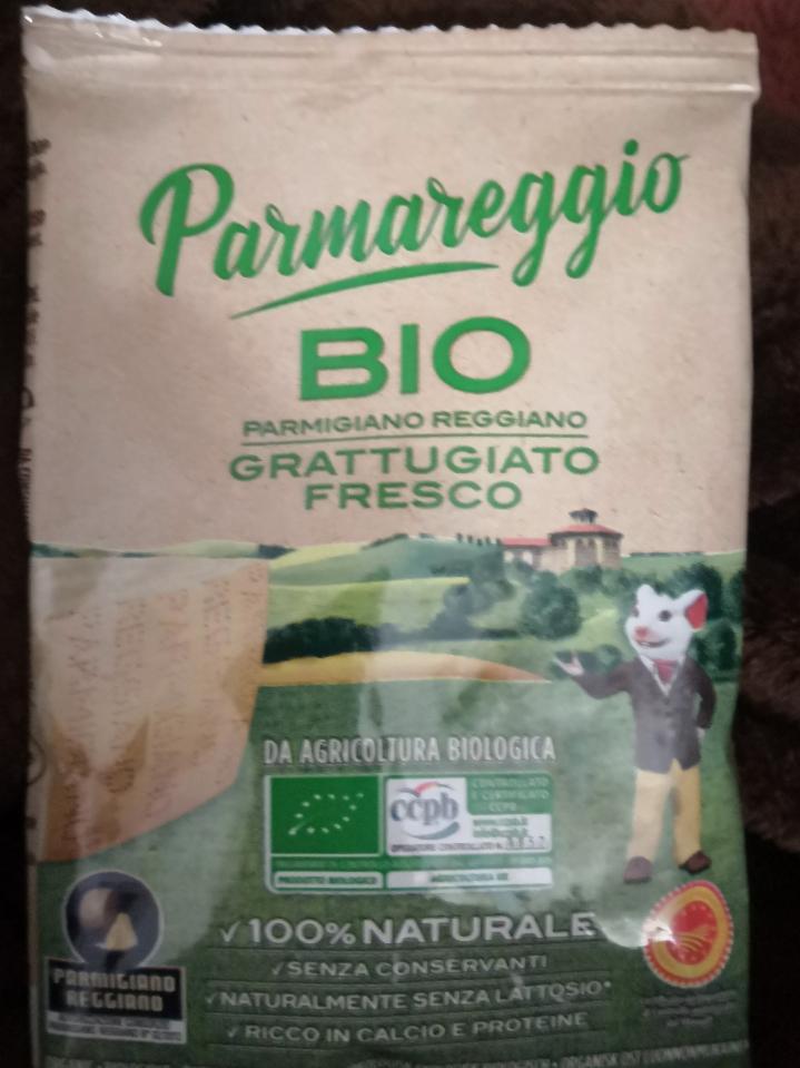 Fotografie - Parmigiano Regiano bio parmezan strouhaný