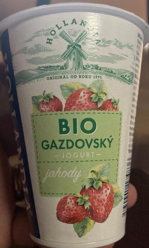 Fotografie - Bio selský jogurt jahody Hollandia