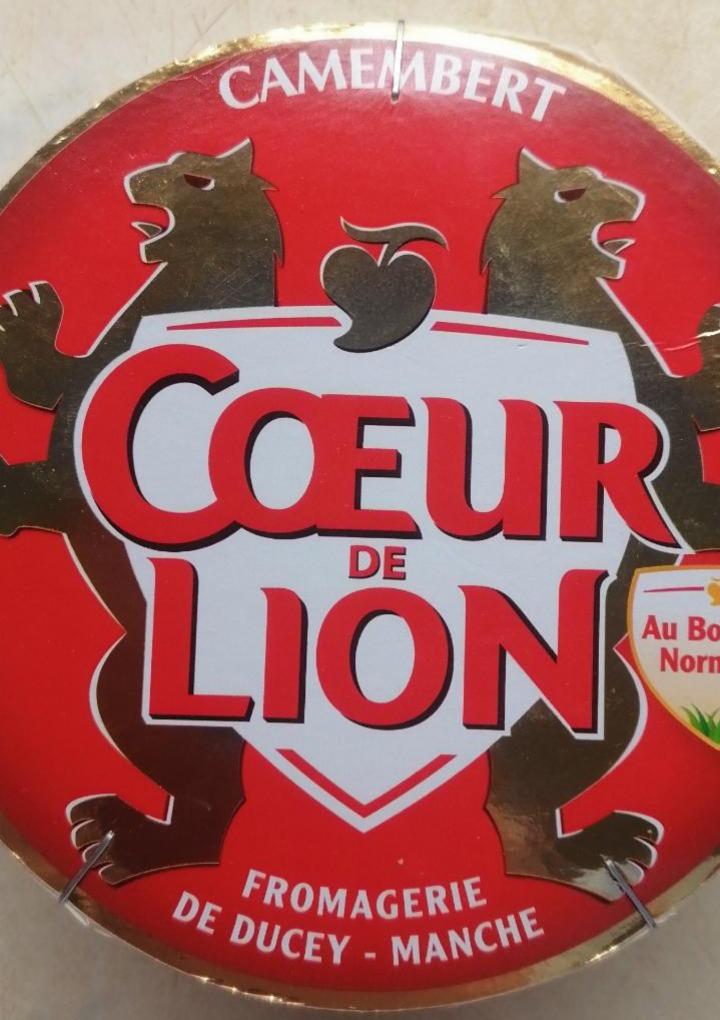 Fotografie - Camembert Cœur de Lion