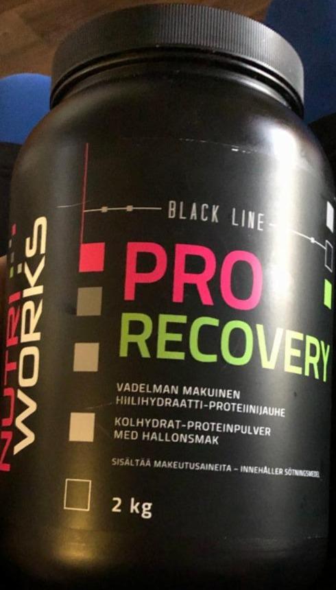 Fotografie - NutriWorks Pro Recovery malina