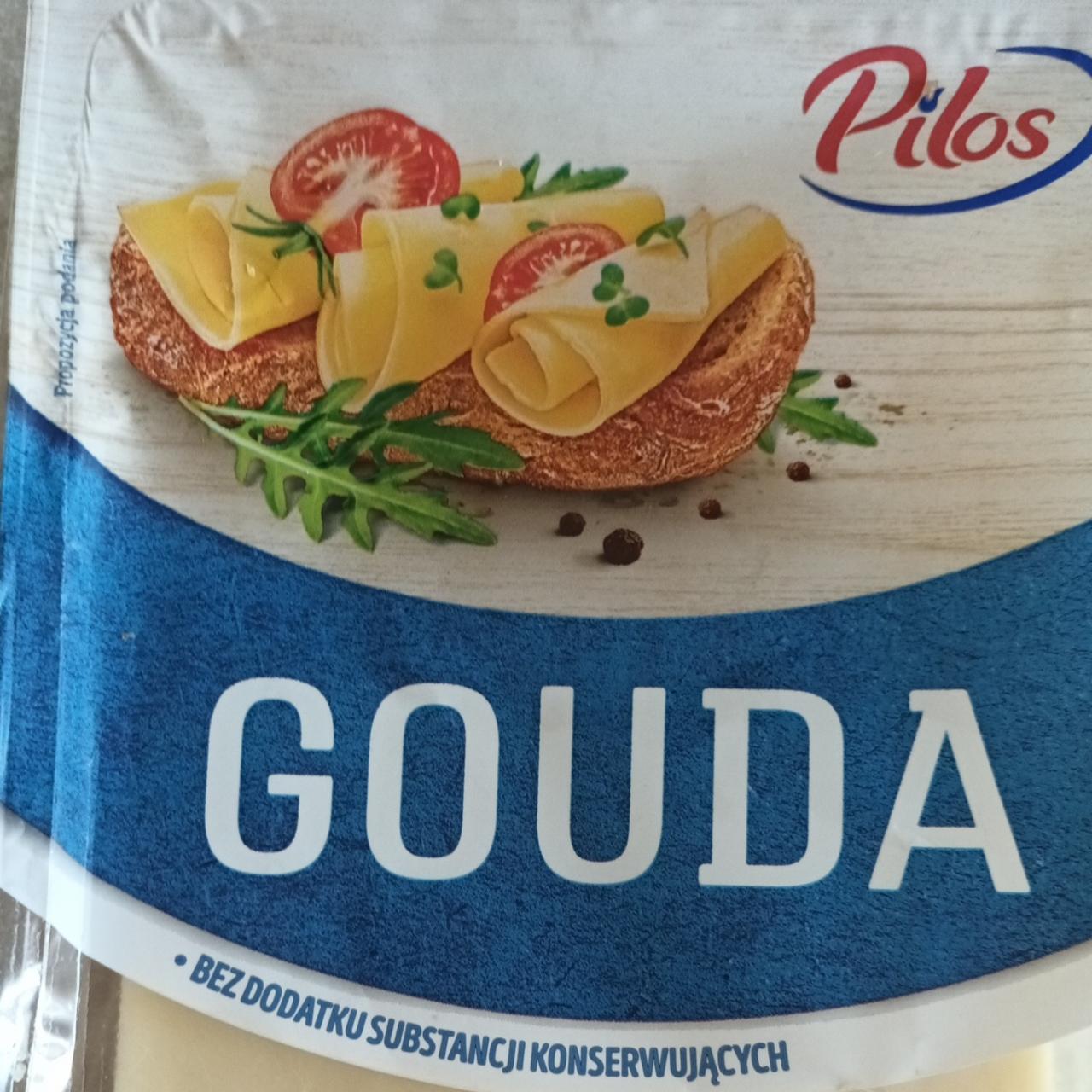 Fotografie - Gouda Pilos