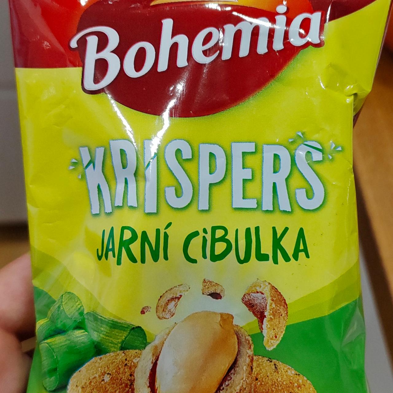 Fotografie - Krispers jarní cibulka Bohemia