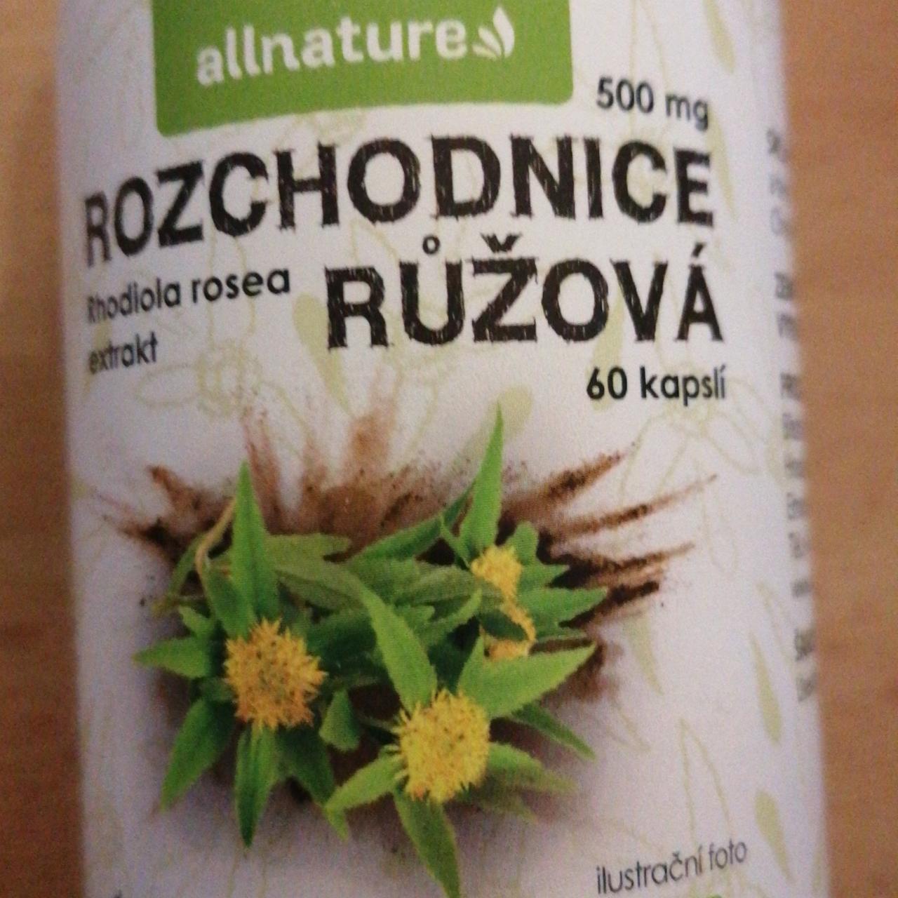 Fotografie - Rozchodnice růžová 500 mg Allnature