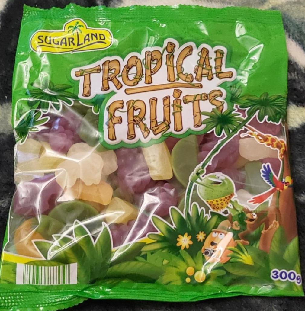 Fotografie - Tropical Fruits Sugarland