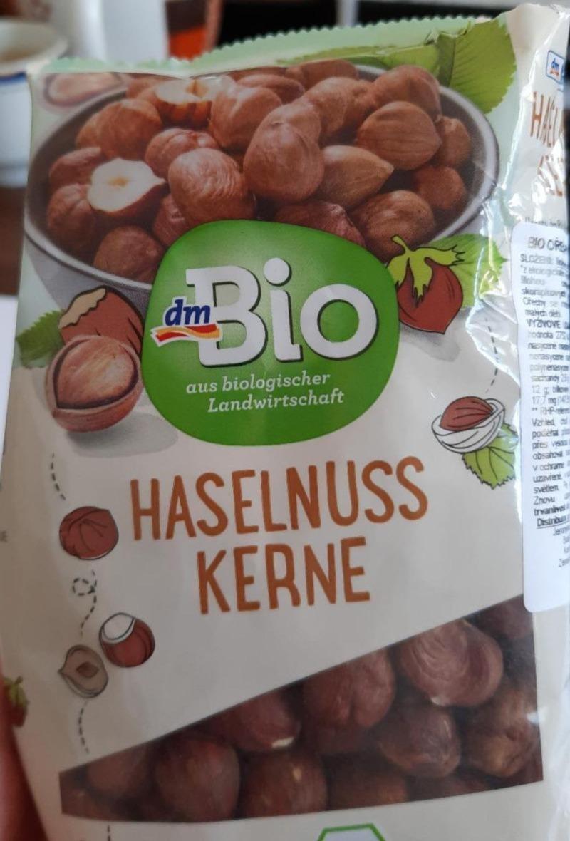 Fotografie - Haselnuss Kerne dmBio