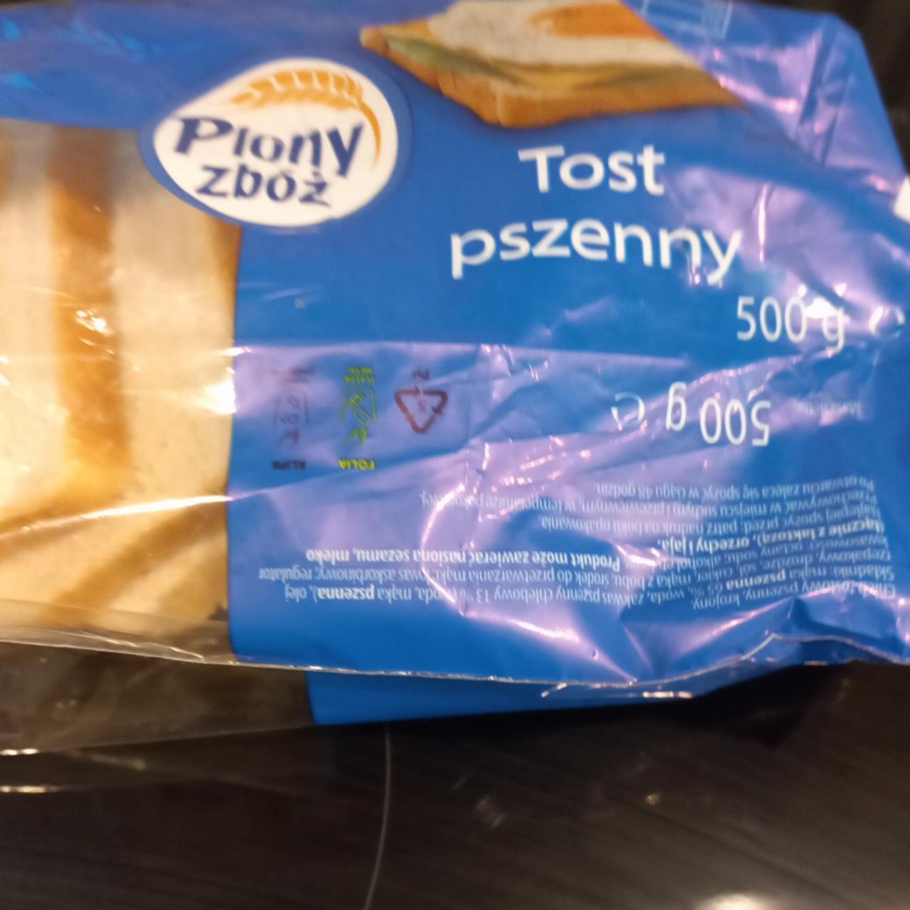 Fotografie - Tost pszenny Plony Zbóż