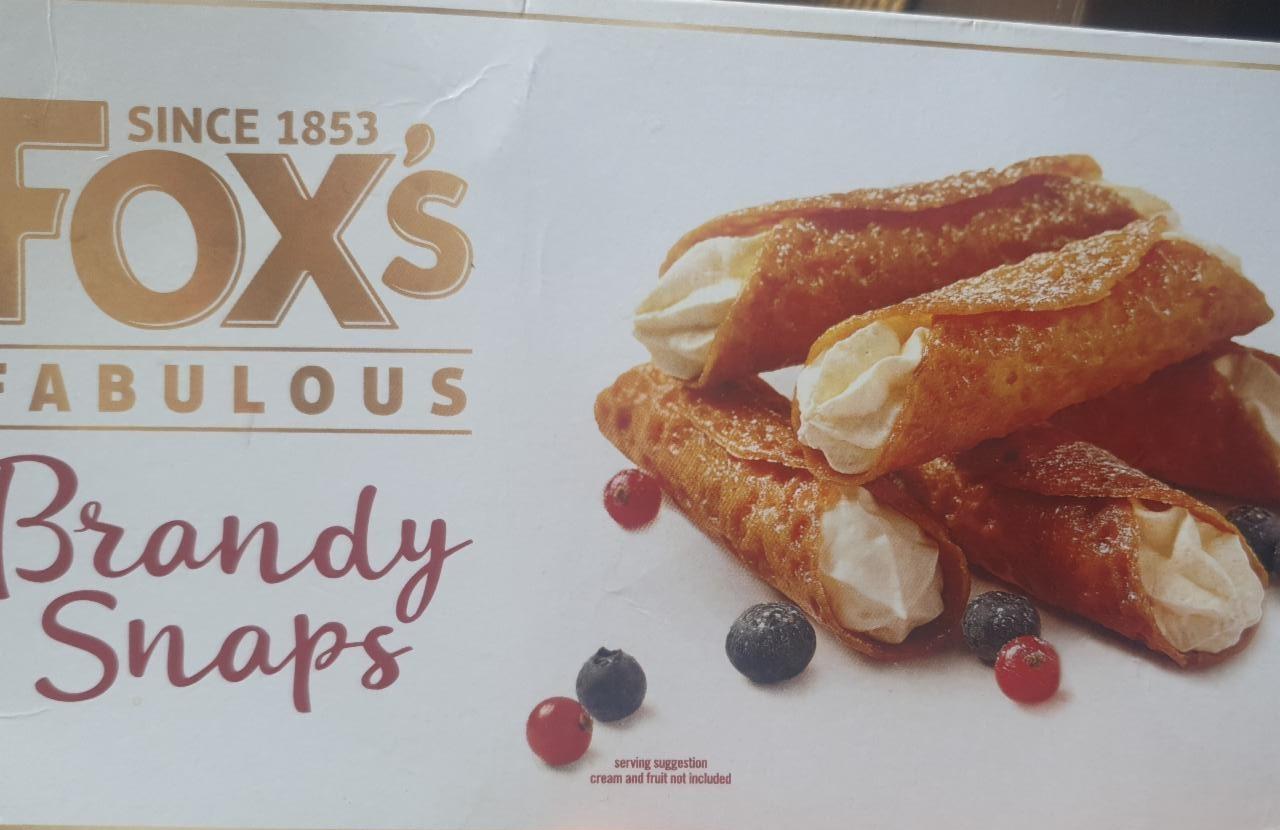 Fotografie - Brandy Snaps Fox's