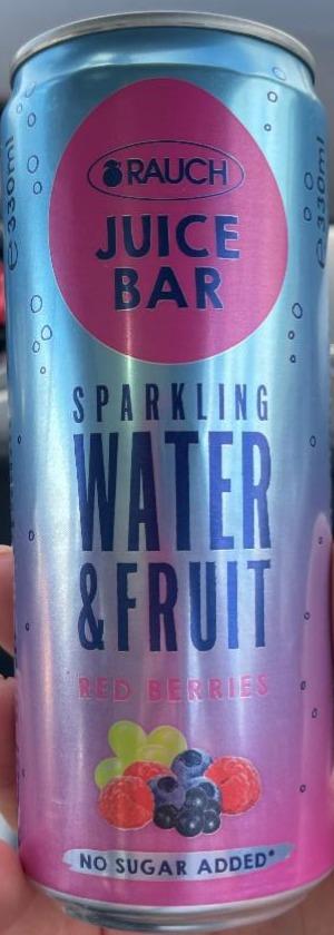 Fotografie - Juice Bar Sparkling water & fruit red berries Rauch