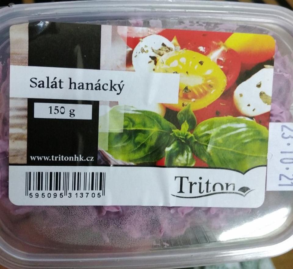 Fotografie - Hanácký salát Triton