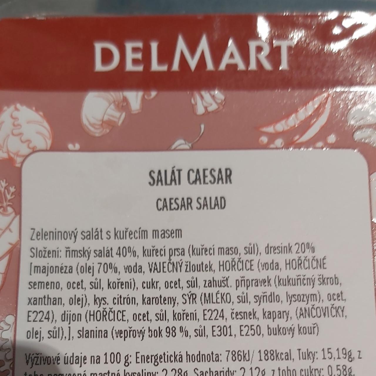 Fotografie - Caesar salát Delmart