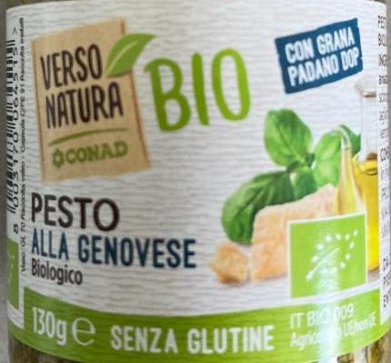 Fotografie - Pesto alla genovese Verso natura