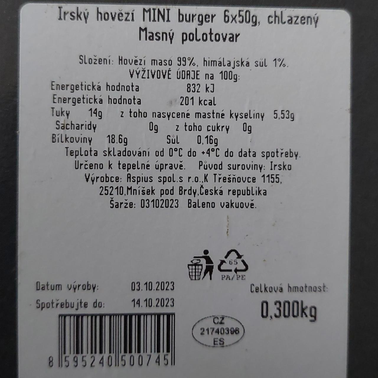 Fotografie - Irský hovězí MINI burger Aspius