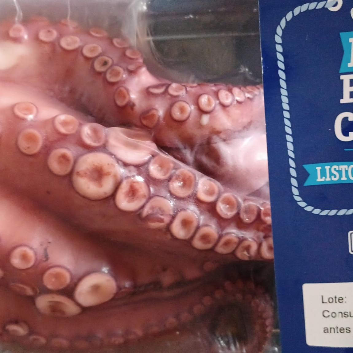 Fotografie - Pulpo cocido Molusco