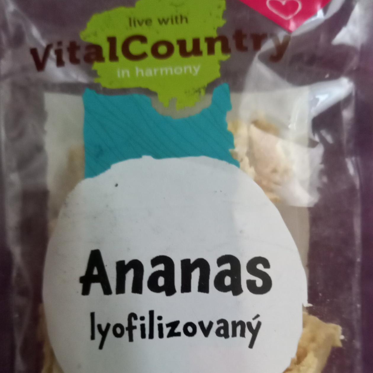 Fotografie - Ananas lyofilizovaný VitalCountry