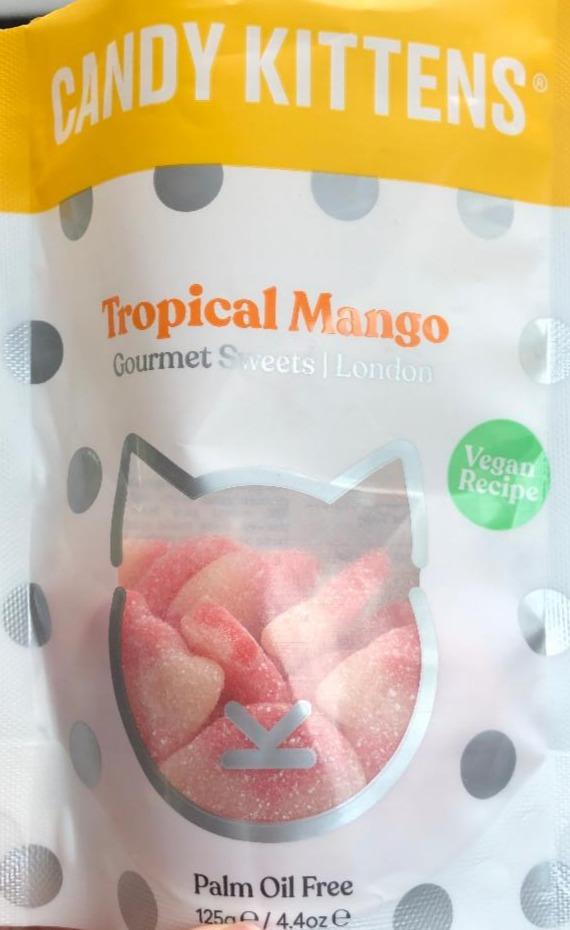 Fotografie - Candy kittens tropical mango