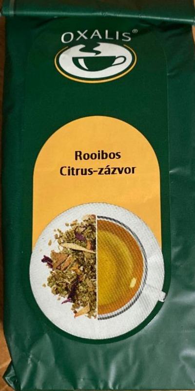 Fotografie - Rooibos citrus zázvor